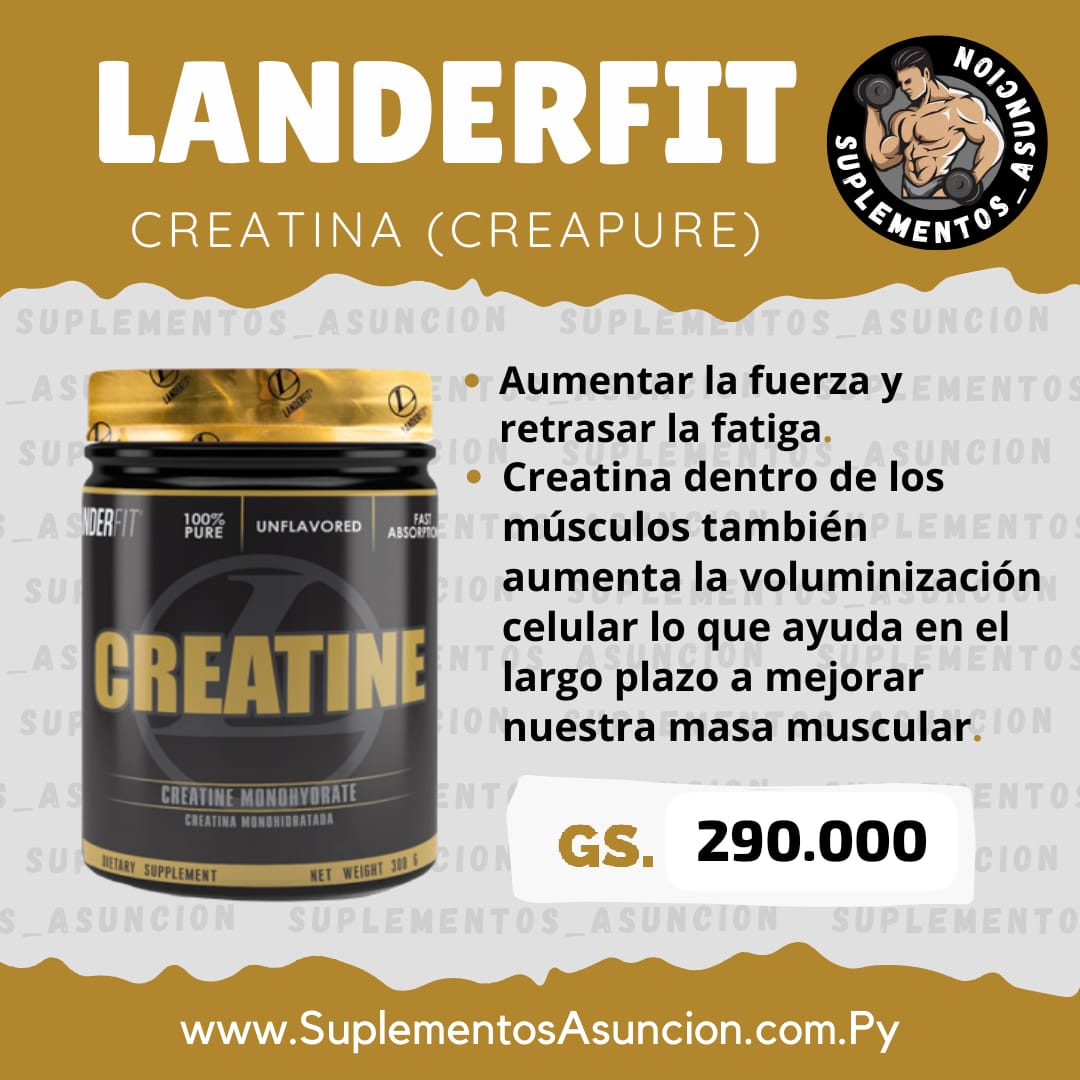 Creatina Landerfit de 300gr [LANDERFIT]