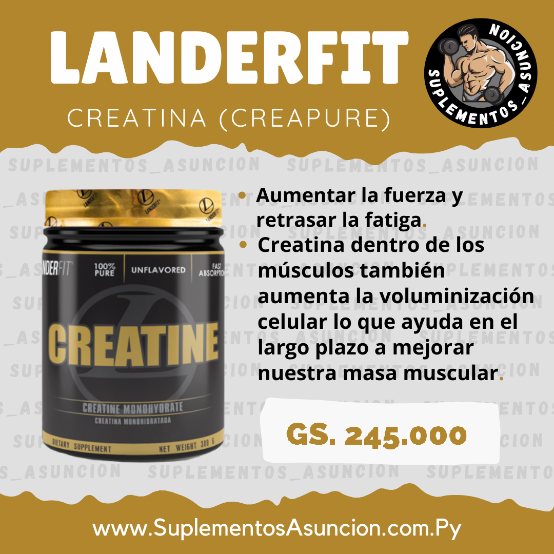 Creatina Landerfit de 300gr [LANDERFIT] Suplementos Asuncion